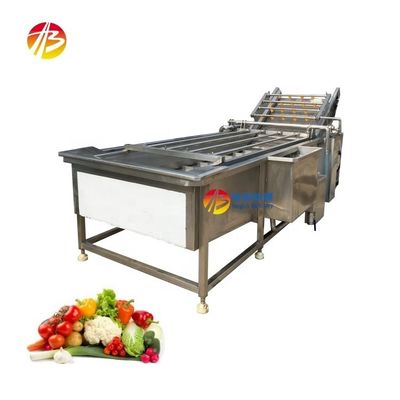 Fabricação de máquinas de lavar frutas e vegetais de aço inoxidável 304