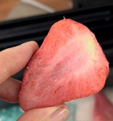 10 kg por lote Secador de congelamento a vácuo para transformação em larga escala de frutas e vegetais