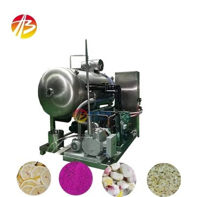 Equipamento de secagem por congelamento a vácuo de carne de frutas e vegetais para alimentos para animais de estimação 10 kg por lote