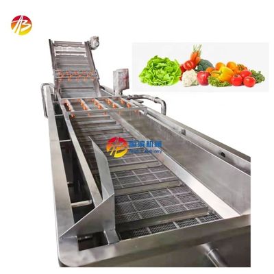 Máquina de lavar bolhas de 1000 kg/h para limpeza industrial da superfície da fruta