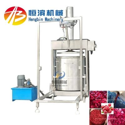 Fácil de operar 300L Commercial Pure Juicer Press hidráulico frio para alta produtividade
