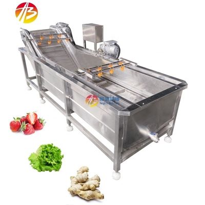1000 kg/h Capacidade Máquina de lavar bolhas de ar de vegetais e frutas para o mercado industrial