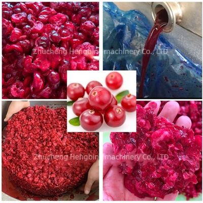Máquina de prensagem hidráulica comercial de aço inoxidável 304 para vinho de uva e suco de frutas