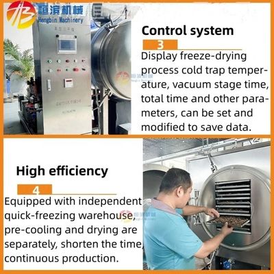 Máquina de secagem por congelamento de alta produtividade de 38 kW para frutas, café, açúcar, doces, carne, peixe e vegetais