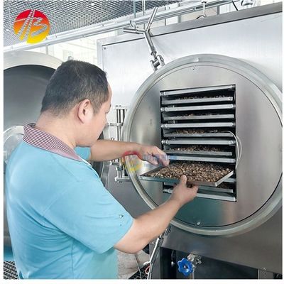 Máquina de liofilização multifuncional comercial para óleo de cozinha Capacidade 200 kg/lote