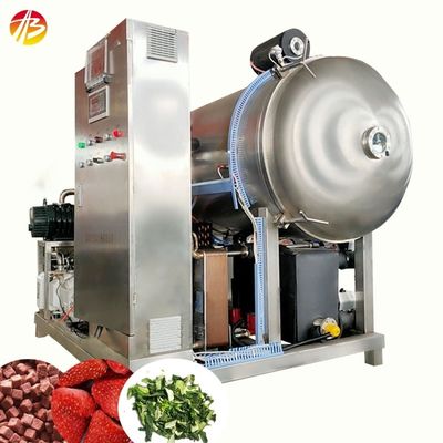 Máquina de secagem por congelamento a vácuo de frutas e vegetais com área de palete de 21 metros quadrados