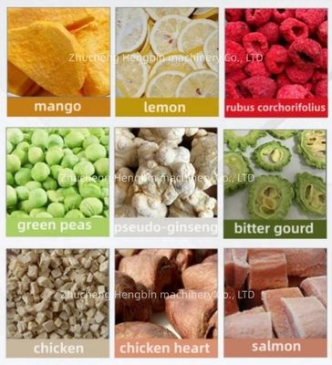 Máquina de secagem por congelamento a vácuo de frutas e vegetais com área de palete de 21 metros quadrados