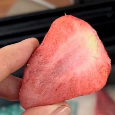 Produtos do mar e frutas 38kw Máquina de secagem por congelamento de poupança de energia com tamanho de bandeja 1400 * 1000mm