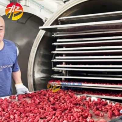 Secador industrial de congelamento para frutos do mar Carne de bovino Frutas Café Açúcar Doces Carne de peixe e vegetais